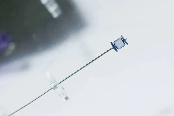 动脉导管未闭封堵器