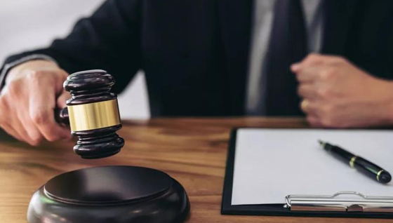 发现中标单位提供虚假材料如何处理？